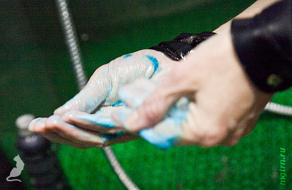 Отбеливающий шампунь Отбеливающий шампунь