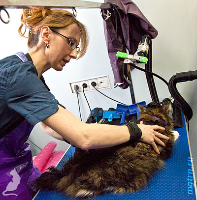 Нанесение обезжиривающей пасты на корпус мейн-куна Нанесение обезжиривающей пасты на корпус мейн-куна