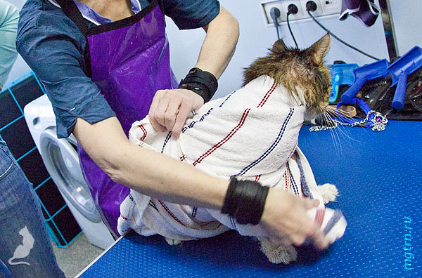 Соединяем углы полотенца за спиной