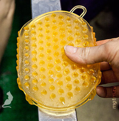 Резиновая подушечка для нанесения шампуня Резиновая подушечка для нанесения шампуня