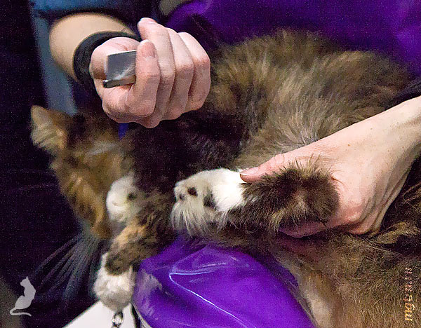 Сушим пятки Сушим пятки