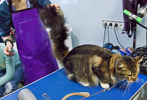 Критически оцениваем результат своей работы Критически оцениваем результат своей работы