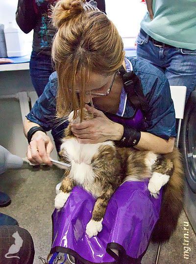 Сушим воротник Сушим воротник