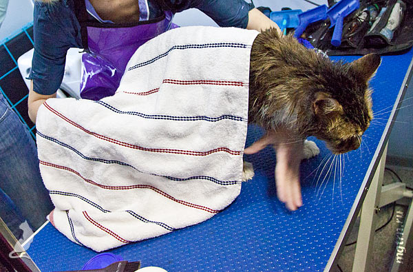 Захватываем другой угол