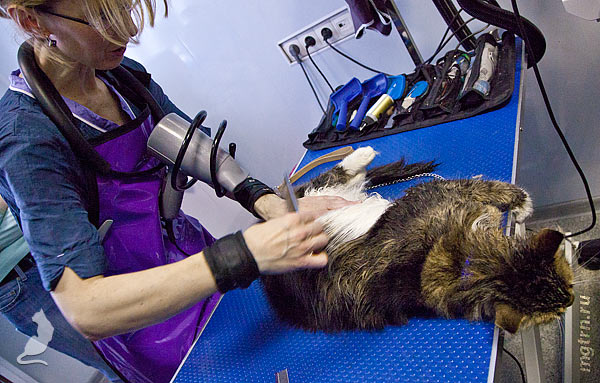 Держатель для фена на шею Держатель для фена на шею