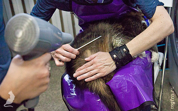 Сушим штаны Сушим штаны